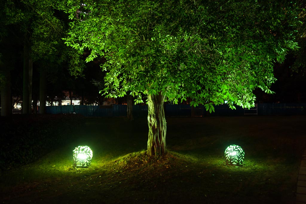 lampy ogrodowe w kształcie kuli oświetlające drzewo od spodu
