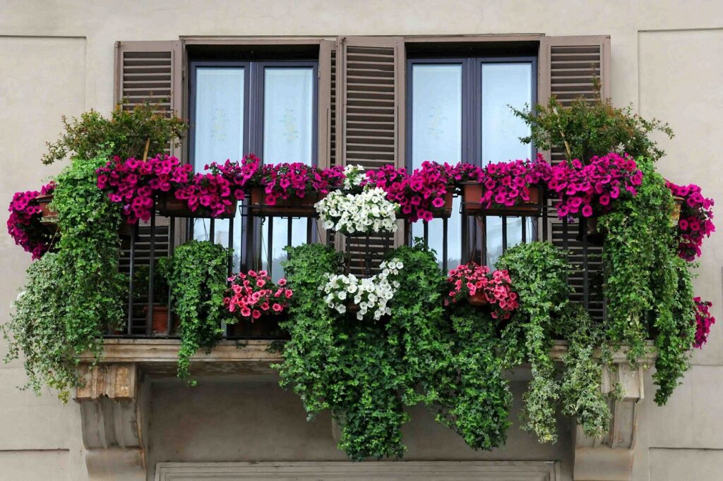 Kwiaty w doniczkach na balkonie